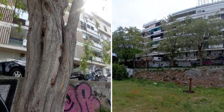 Privremeno zatvaranje dijela Bregovite ulice zbog uklanjanja dotrajalih stabala