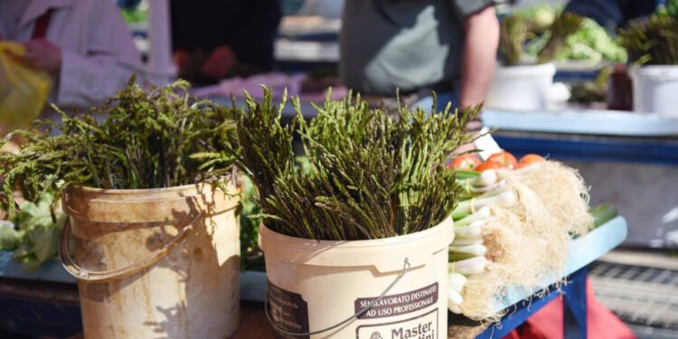 Proljetni hit na Pazaru pretvorio se u luksuz: Šparoge preskupe za mnoge