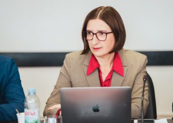 Puljak: Inflacija divlja, a milijuni cure na plaće stranačkih kadrova