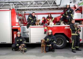 Puna podrška zabrani bučne pirotehnike!