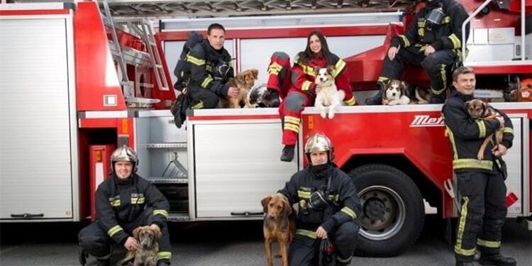 Puna podrška zabrani bučne pirotehnike!