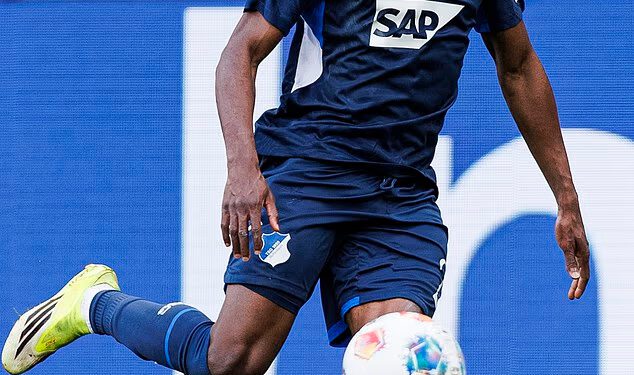 Skauti Liverpoola gledaju zvijezdu Bundeslige vrijednu £35 milijuna ‘SVAKI TJEDAN’ usred zapanjujuće forme Hoffenheima dok žele zamijeniti odlazećeg Mohameda Salaha – a kruže i suparnici iz Premier lige