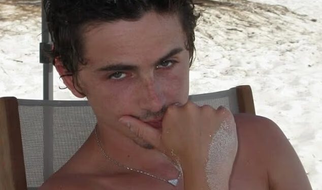 Sramotni trenutak Timotheeja Chalameta dok njegov luksuzni električni automobil vuku iz njegove vile na Beverly Hillsu