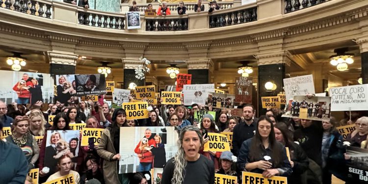 Stotine prosvjednika vrve pred ured guvernera uzvikujući ‘Oslobodite pse!’ dva dana nakon nasilnih sukoba