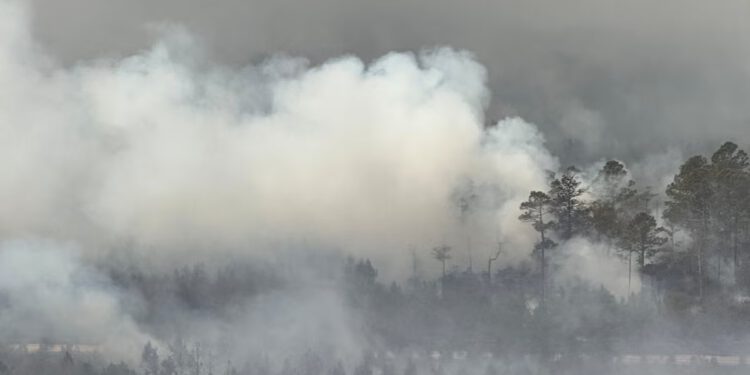 Šumski požar u Georgiji udvostručio se jer vatra uglavnom nije obuzdana, upozoravaju dužnosnici