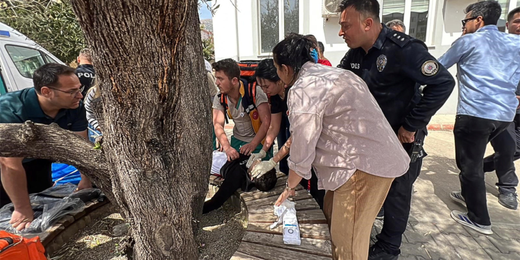 Tinejdžer je navodno ubio 9 u turskoj srednjoj školi u drugoj pucnjavi u dva dana