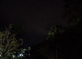 Trump: Pregled arhiva o NLO-ima otkrio ‘zanimljive’ dokumente