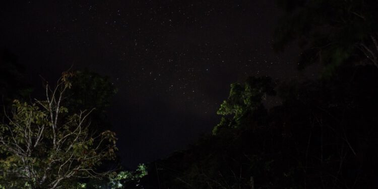 Trump: Pregled arhiva o NLO-ima otkrio ‘zanimljive’ dokumente