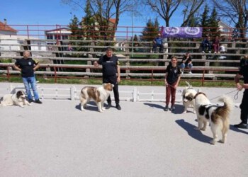 U Tomislavgradu predstavljeni najljepši tornjaci iz BiH i regije