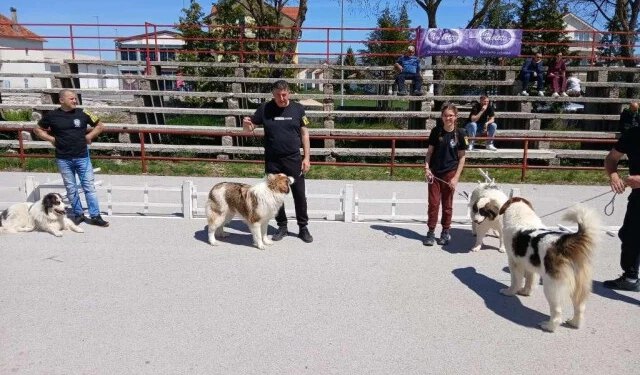 U Tomislavgradu predstavljeni najljepši tornjaci iz BiH i regije