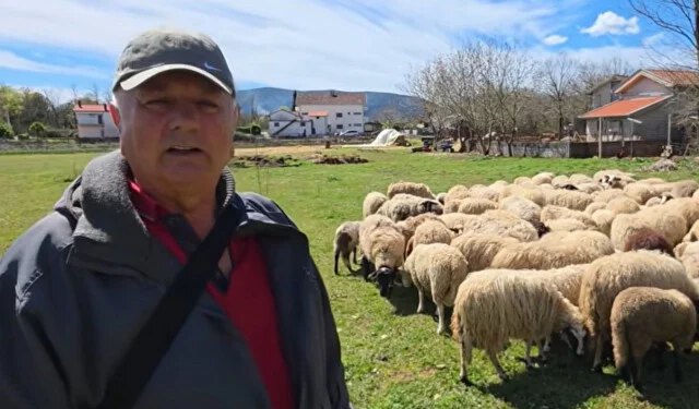 VIDEO Iz Švicarske se vratio u Hercegovinu, kupio ovce i započeo novi život