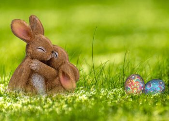 VODICE Pobjednik turnira u tucanju jaja je mali Ukrajinac