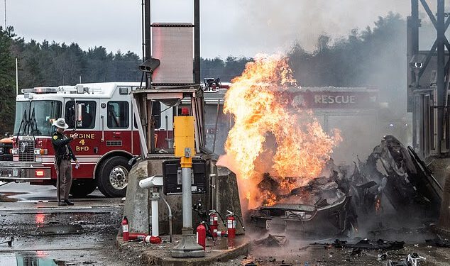 Vatrena olupina automobila zvijezde Bob’s Burgersa Eugenea Mirmana otkrivena na jezivim fotografijama nakon herojskog spašavanja