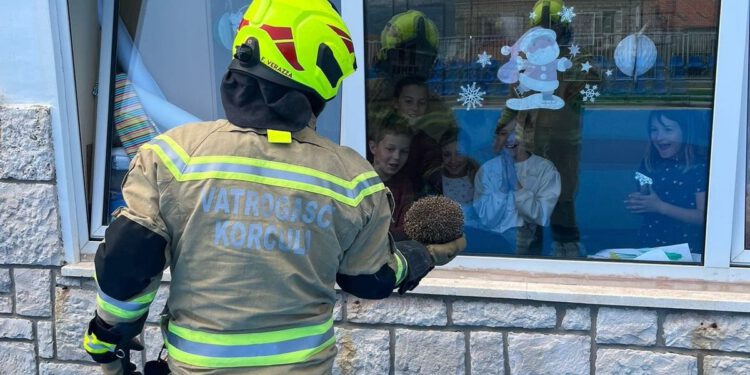 Vatrogasci na Korčuli spasili ježa: "Kad najjači brinu o najmanjima"