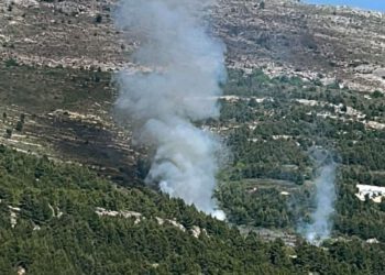 Vatrogasci se borili s požarima u Podstrani i na Šolti