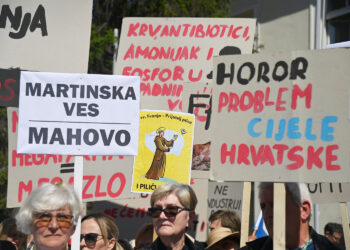 Veliki prosvjed u Sisku: ‘Stop masovnom pokolju’