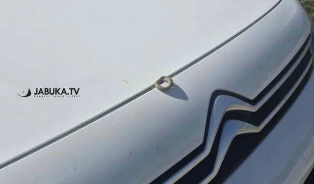 Vozač zatekao poskoka ispod haube automobila u Čitluku