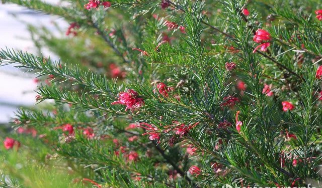 Vremenska prognoza za Mostar i Hercegovinu – 11.04.2026