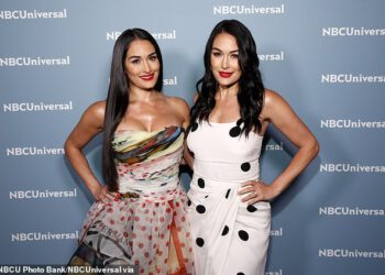 WWE superzvijezda Nikki Bella otkriva užasnu ozljedu koja je uništila borbu na WrestleManiji 42 zajedno sa sestrom Brie