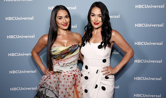 WWE superzvijezda Nikki Bella otkriva užasnu ozljedu koja je uništila borbu na WrestleManiji 42 zajedno sa sestrom Brie