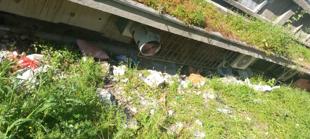 rupe jarak plokite 1