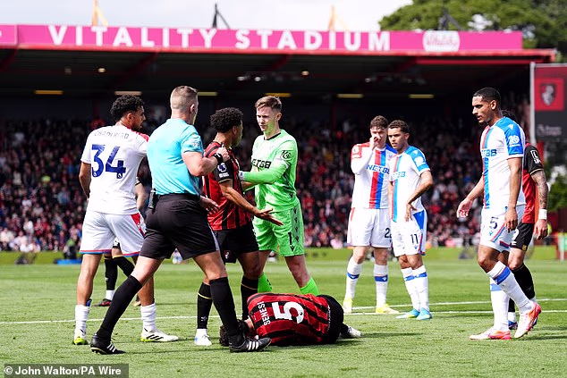 Činilo se da je Marcos Senesi pao s minimalnim kontaktom za penal za Bournemouth
