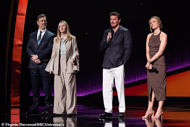 Zvijezde (lr) Peter Krause, Hope Davis, David Boreanaz i Michaela McManus bili su na pozornici za The Rockford Files