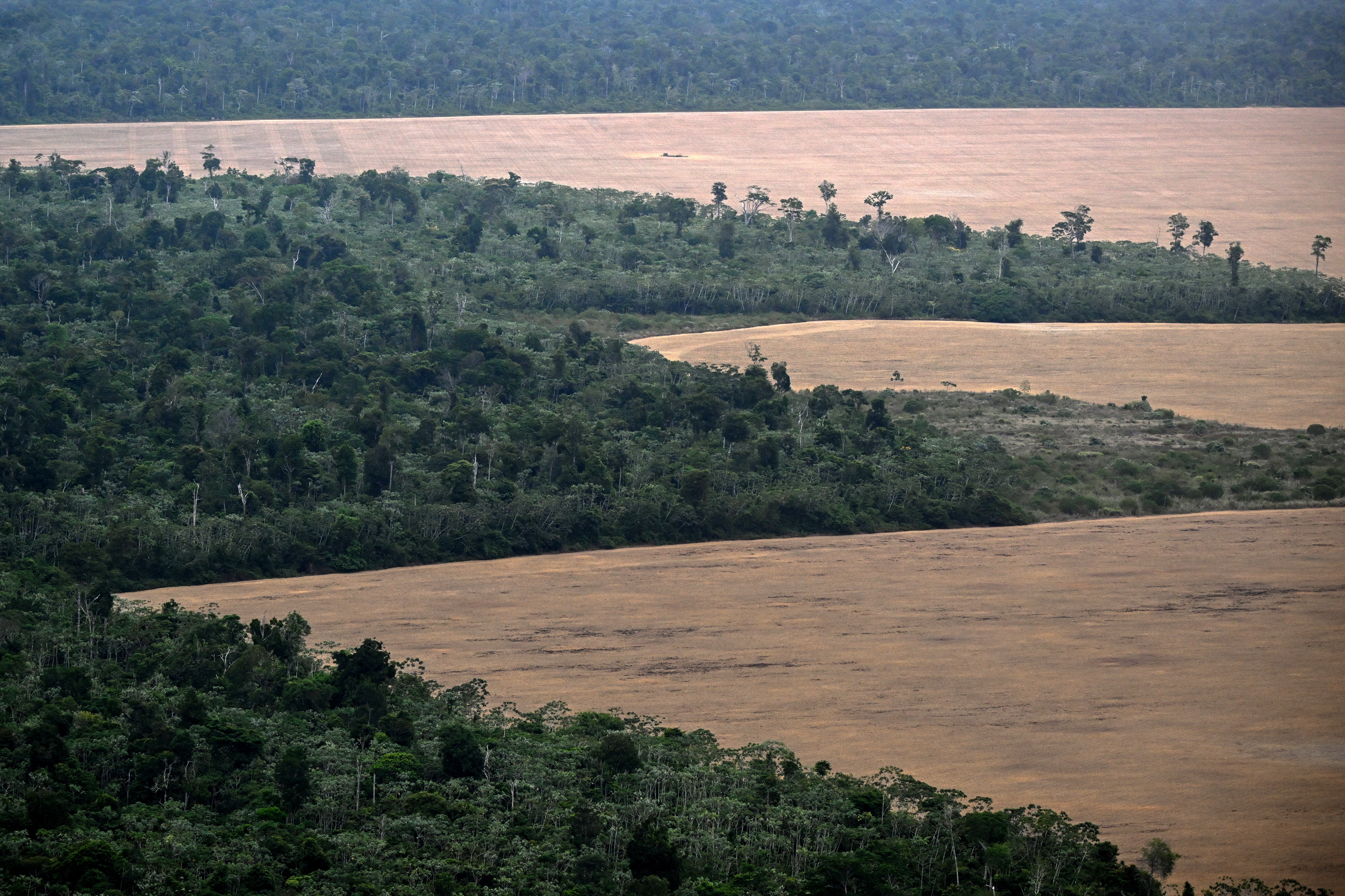 Godine 2023. Amazon Conservation udružio se s Earth Genomeom i Pulitzerovim centrom kako bi razvio Amazon Mining Watch, platformu koja koristi satelitske slike za praćenje rudarenja diljem Amazone od 2018.