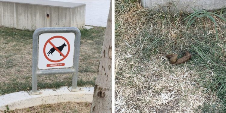 Apsurd na splitskoj Zapadnoj obali: Znak zabranjuje pse, a odmah pokraj njega – pseći izmet