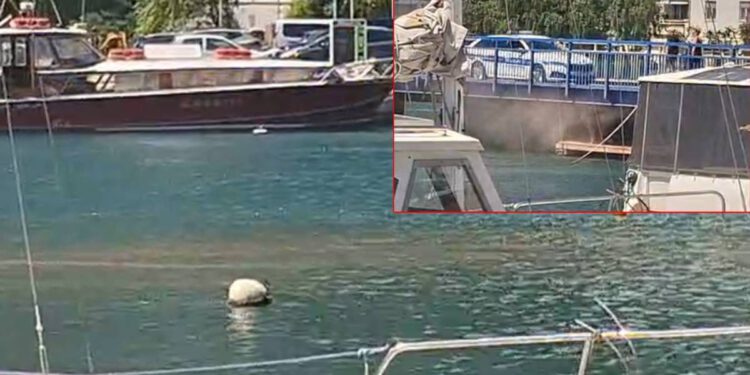 Cetina pocrvenila, pogledajte što se događa na starom mostu!