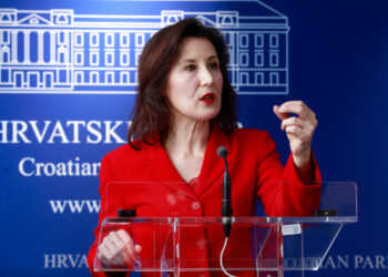 Daliji stigao odgovor: ‘Smetaju joj Hrvati iz Livna, a bosanski Posavljak Tomašević je dobar’