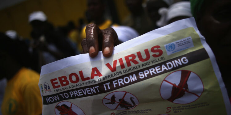 Ebola ‘ne poštuje granice’ – južnoafrički čelnik — RT Africa