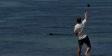 Havajski turist koji se navodno hvalio ‘Ja sam bogat’ nakon što je gađao ugroženu tuljanku kamenom daje novi razlog za postupke: izvješće