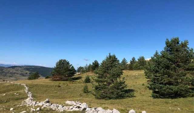 Hoće li Parlament FBiH odobriti novo zaduženje za VE Poklečani dok sudski postupci još traju?