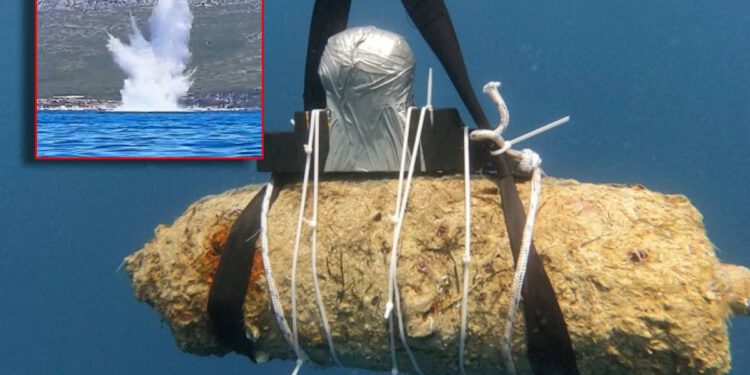Iz mora na Korčuli izvučena grdosija teška 80 kilograma, ronioci morali hitno reagirati!