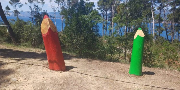 Jeste vidjeli ove bojice na Marjanu? Evo zašto su tamo
