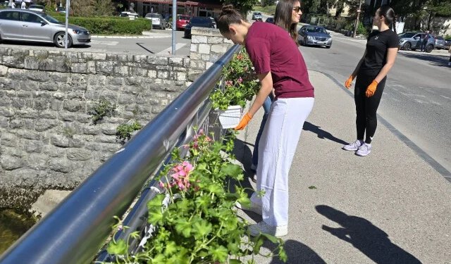 Livanjski učenici cvijećem uljepšali gradske ulice