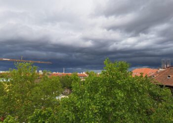 Monstruozna oluja poharala Zagreb: Srušena stabla, vjetar rušio sve pred sobom, pogledajte kaos