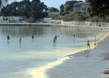 More u Dalmaciji postalo žuto: Znanstvenici objasnili što se zapravo događa