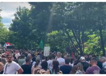 Na prosvjedima starca (90) udarili autom, digao se još jači, kruže fascinantne snimke