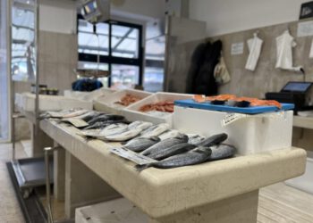 Na rovinjskoj ribarnici ovih ćete dana teže pronaći plavu ribu