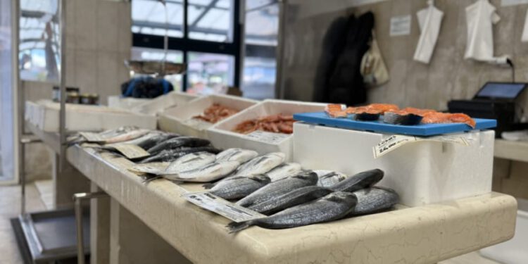Na rovinjskoj ribarnici ovih ćete dana teže pronaći plavu ribu