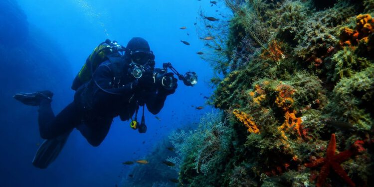 Najbolji svjetski fotografi zaronit će u prvu strogo zaštićenu zonu na Jadranu