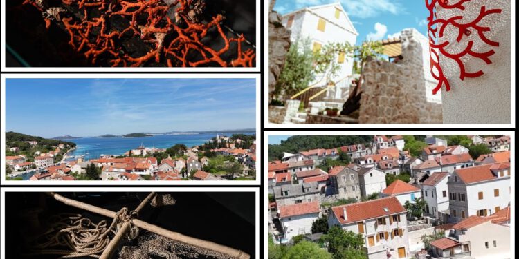OTOK KORALJA KOJI KORALJE – NEMA! Nevjerojatna priča o skrivenom dragulju šibenskog arhipelaga