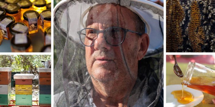 Od košnice do pijata: Šolta u svibnju miriše na med i masline, na otok stižu chefovi, pčelari i ljubitelji dobre spize