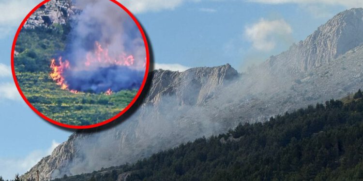 Požar u Podstrani – DALMACIJA DANAS