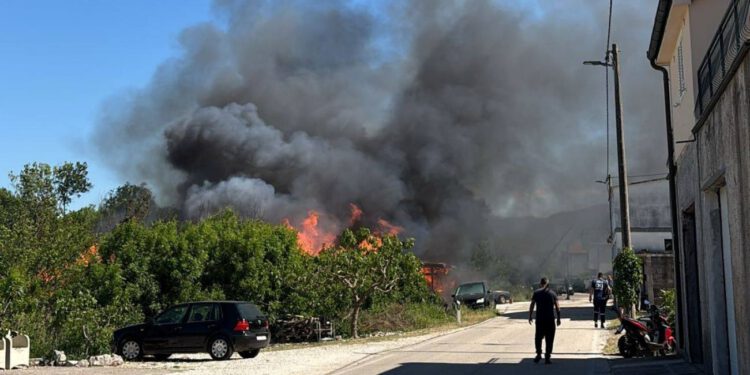 Požar u dolini Neretve: Zapalila se trska u Momićima, stigla i autocisterna