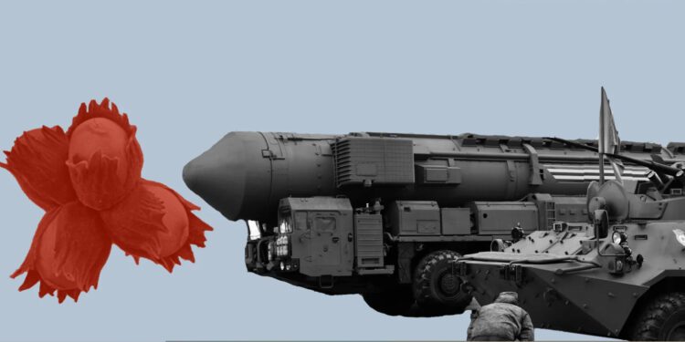 Rusija je gađala kijevsku regiju moćnom raketom Orešnik