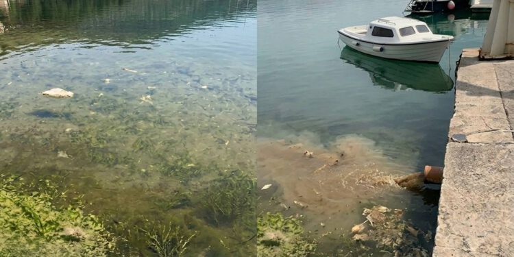 ŠOKANTNI PRIZORI S JADRANA Luke pune fekalija i prije dolaska turista! Krše se MARPOL konvencija i EU direktive