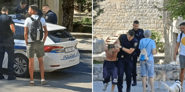 Šire se fotografije incidenta u Đardinu. Ivošević: “Nisam sudjelovao, samo sam pozvao policiju”